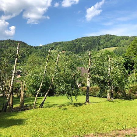 Chalet De Fréland Buitenkant foto