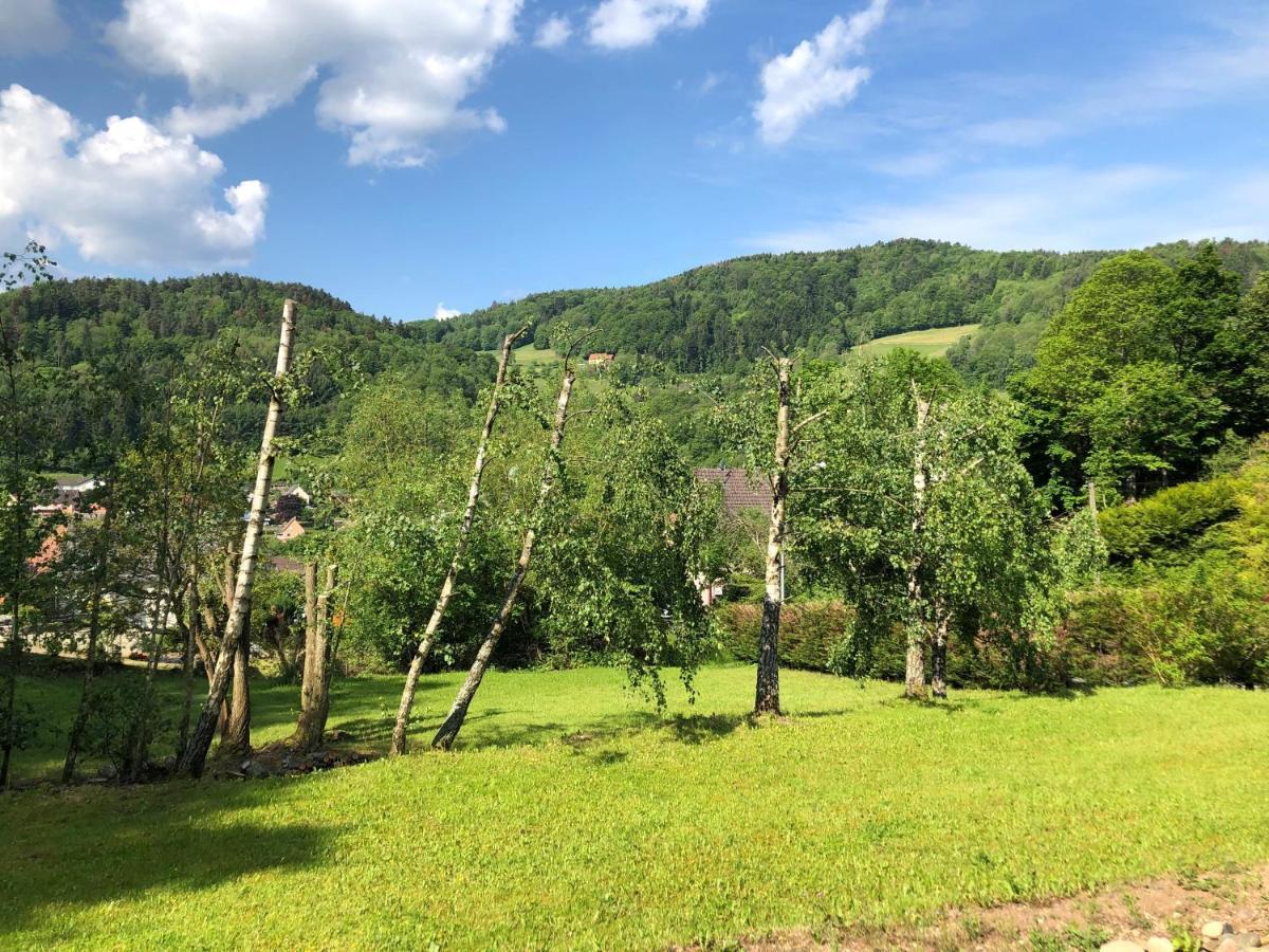 Chalet De Fréland Buitenkant foto